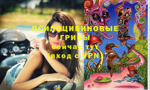 ешки Красноперекопск