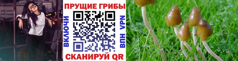 Галлюциногенные грибы прущие грибы  Малгобек 