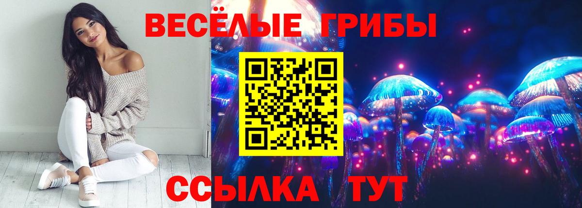 Малгобек  Псилоцибиновые грибы Magic Shrooms  Вход с VPN 